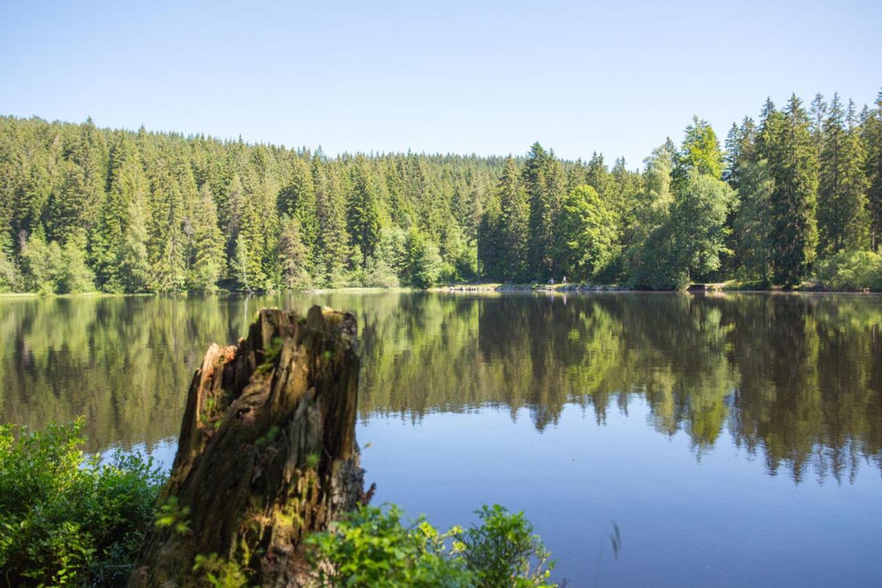 Ferienhaus Voelkle Hinterzarten Bagian luar foto