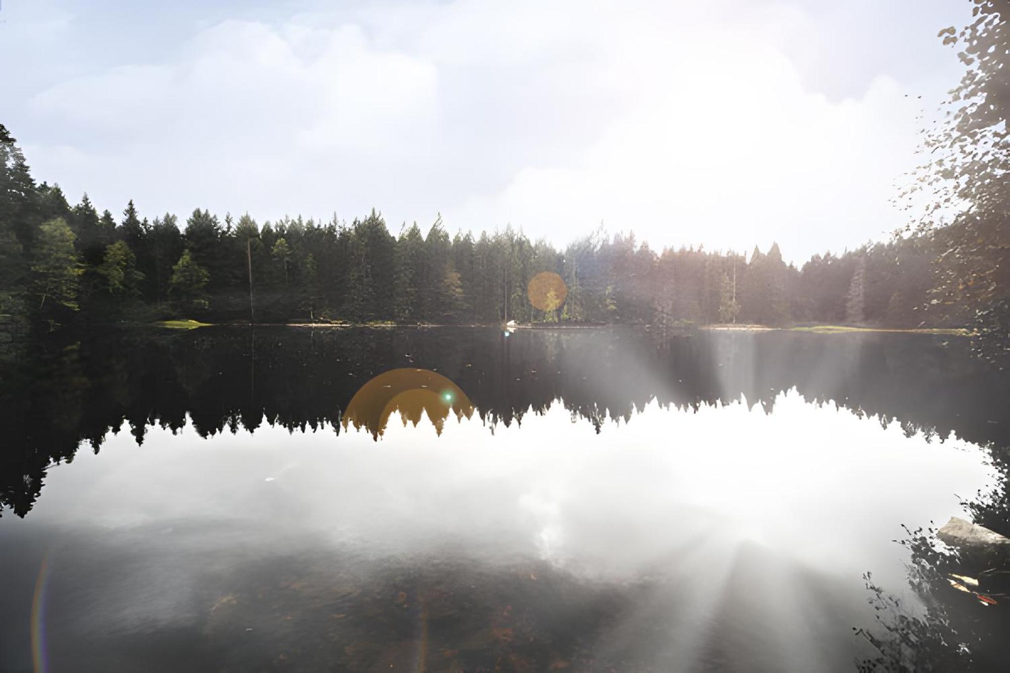Ferienhaus Voelkle Hinterzarten Bagian luar foto