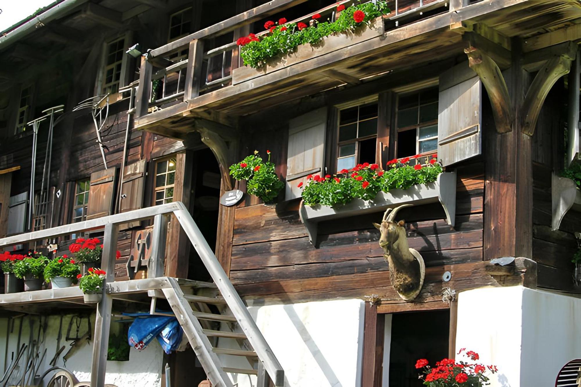 Ferienhaus Voelkle Hinterzarten Bagian luar foto